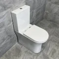closed-back-toilet