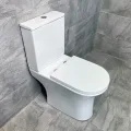 open-back-toilet